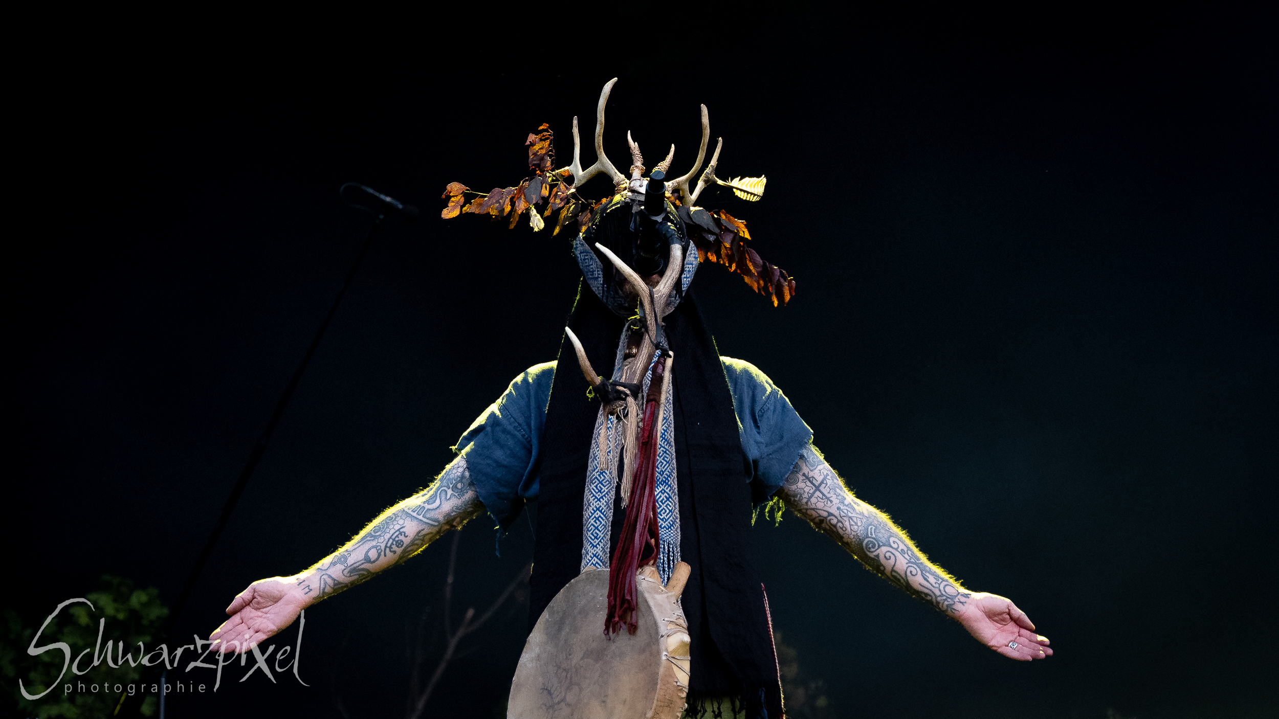Heilung