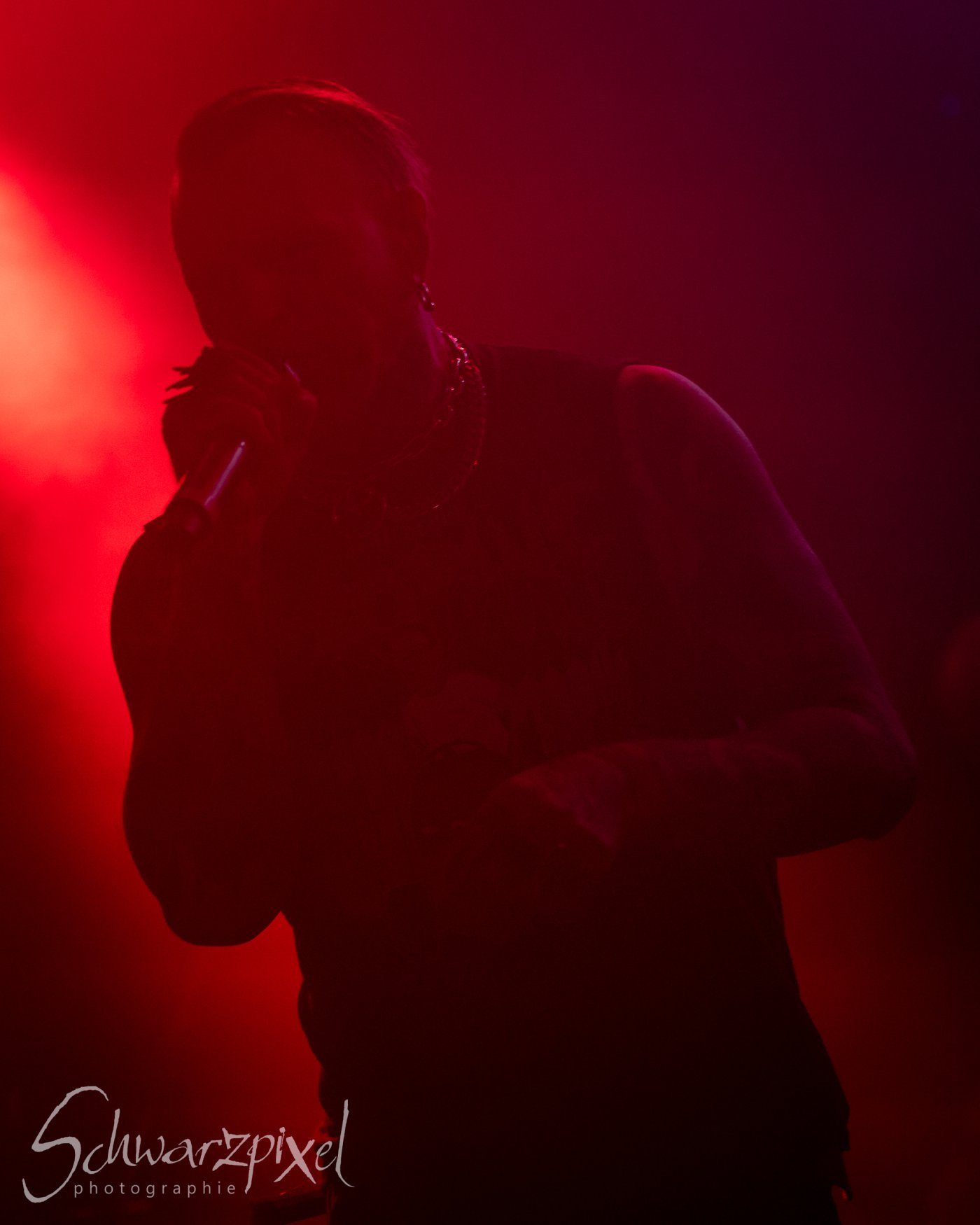 LaPlegua Anthology Show 2026