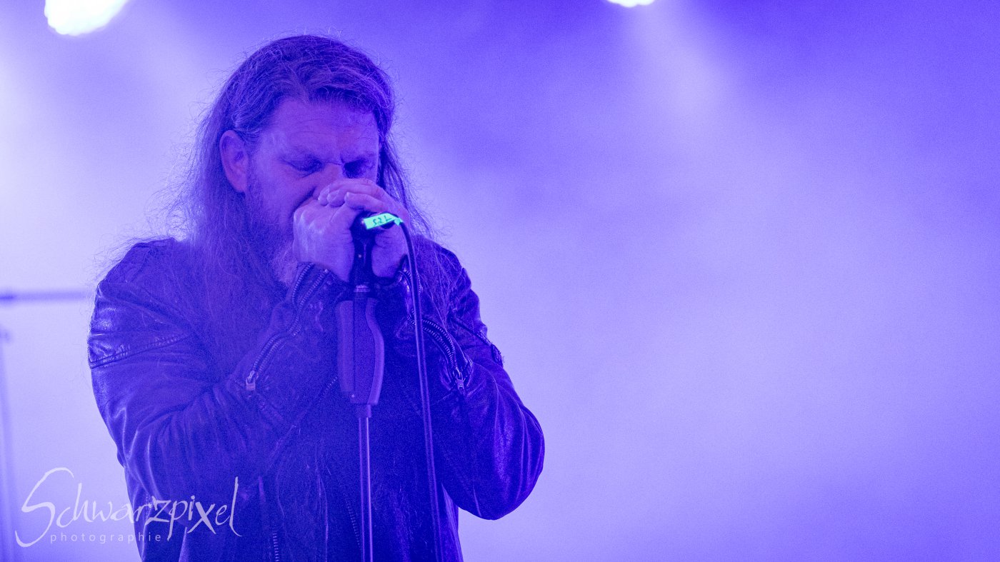 Lucy-Fairs Garden 2025