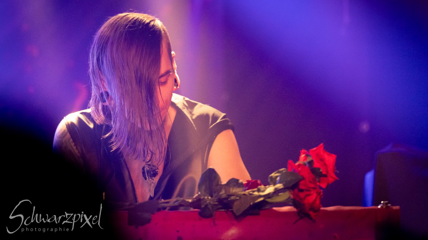 In Darkness Festival 2025