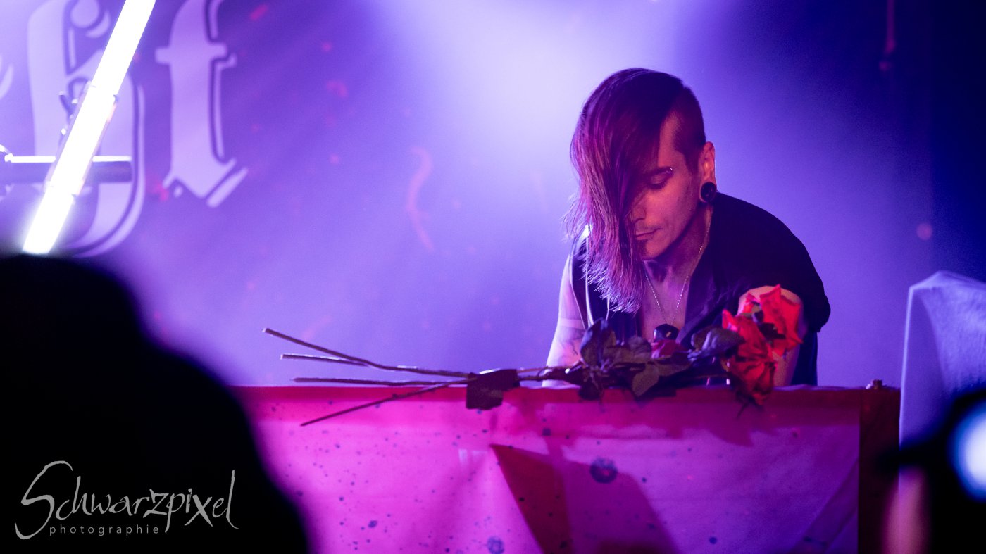 In Darkness Festival 2025