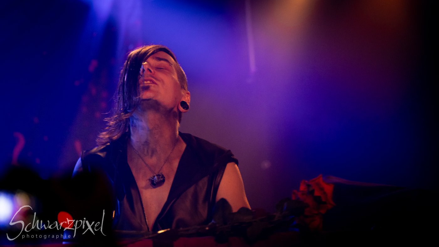 In Darkness Festival 2025