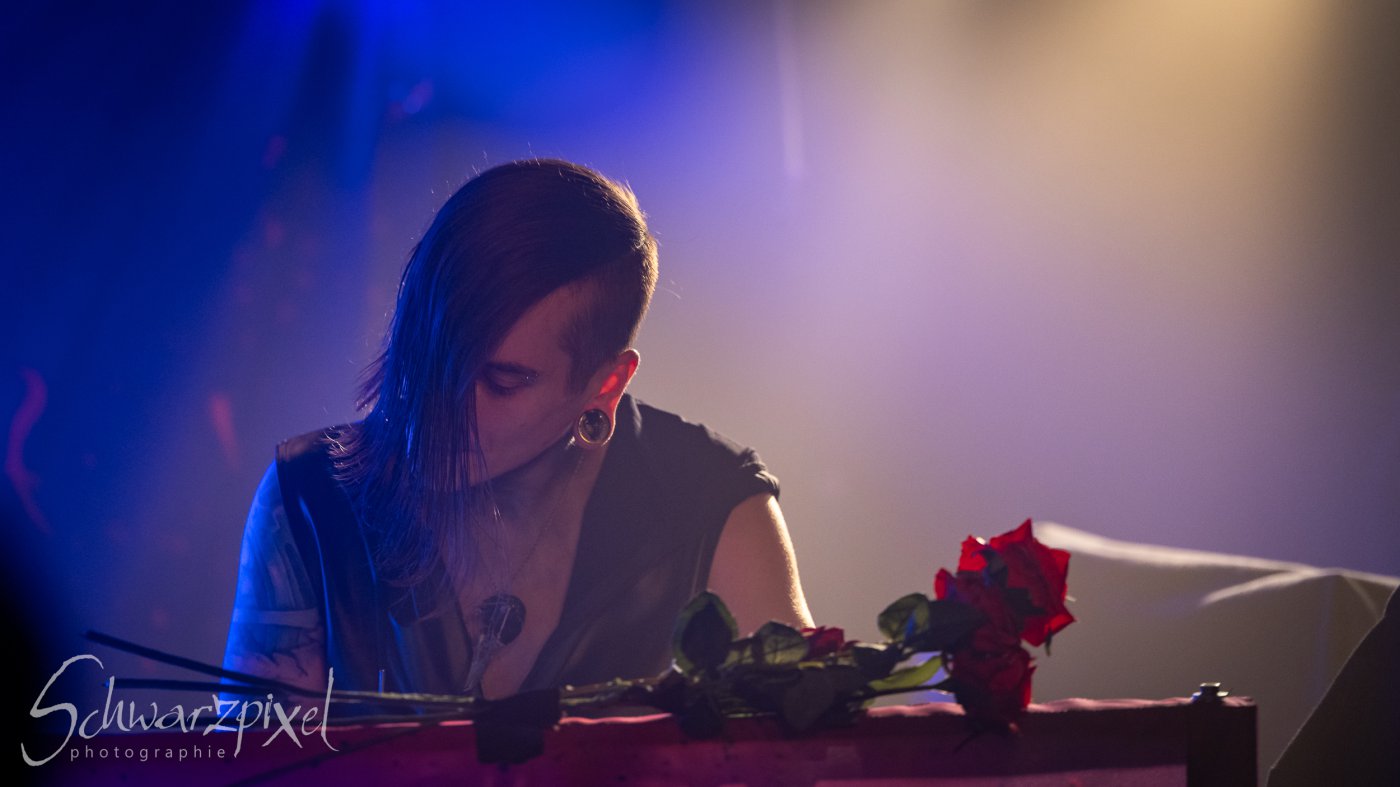In Darkness Festival 2025