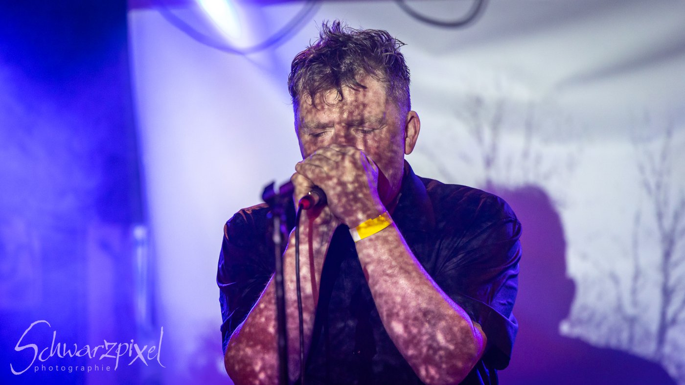 In Darkness Festival 2025