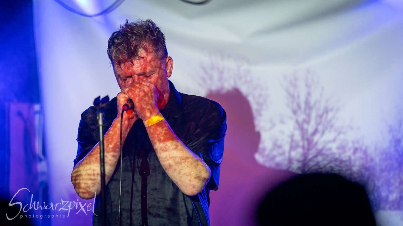 In Darkness Festival 2025