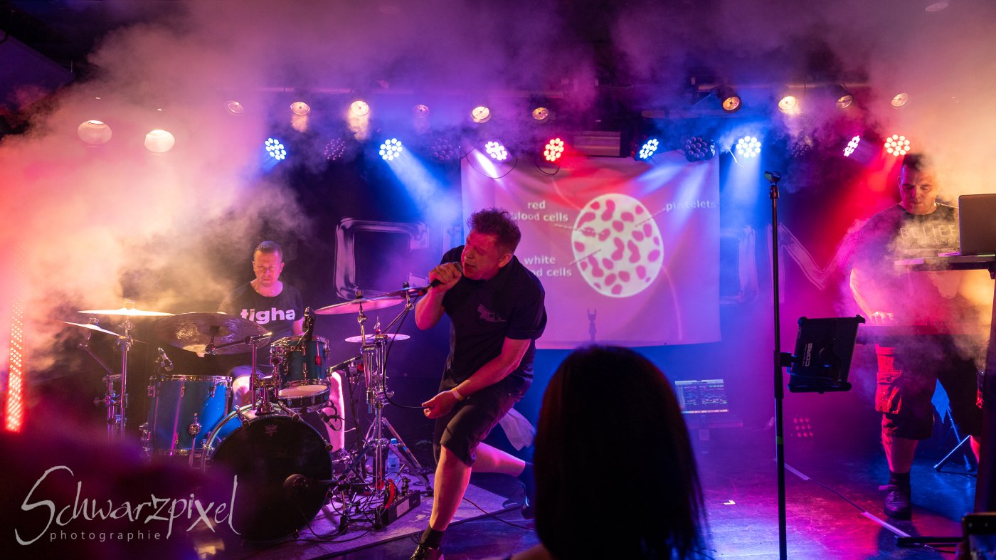 In Darkness Festival 2025
