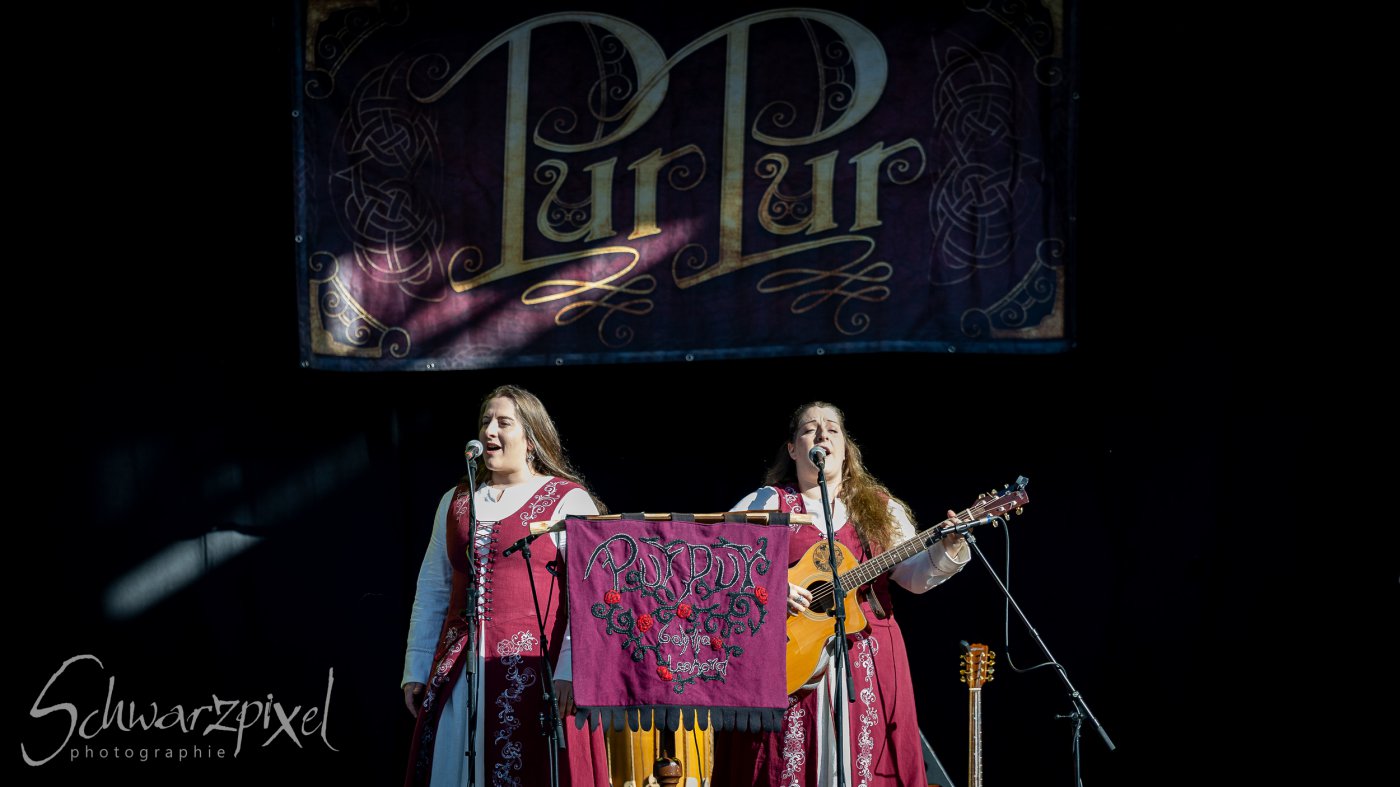 Festival Mediaval XVI