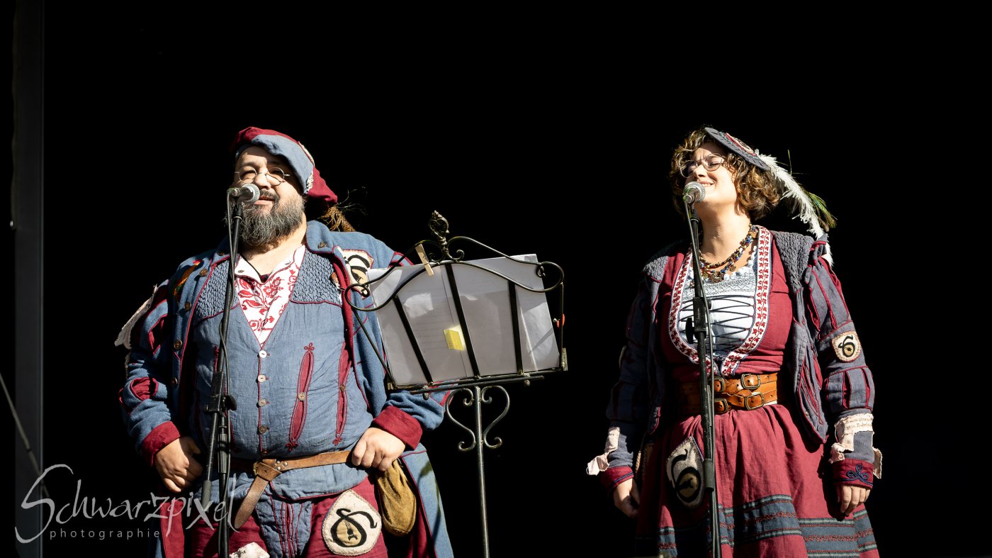 Festival Mediaval XVI