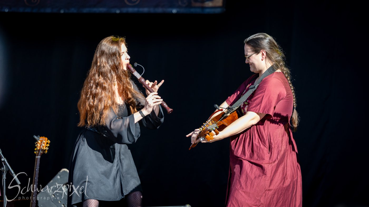 Festival Mediaval XVI