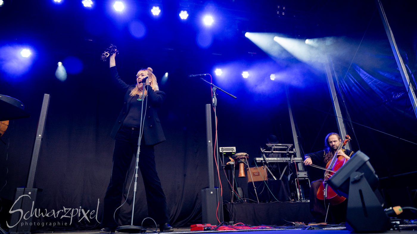 Festival Mediaval XVI