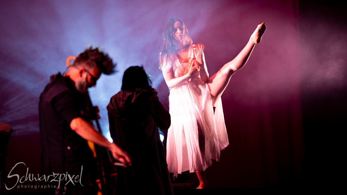 Festival Mediaval XVI