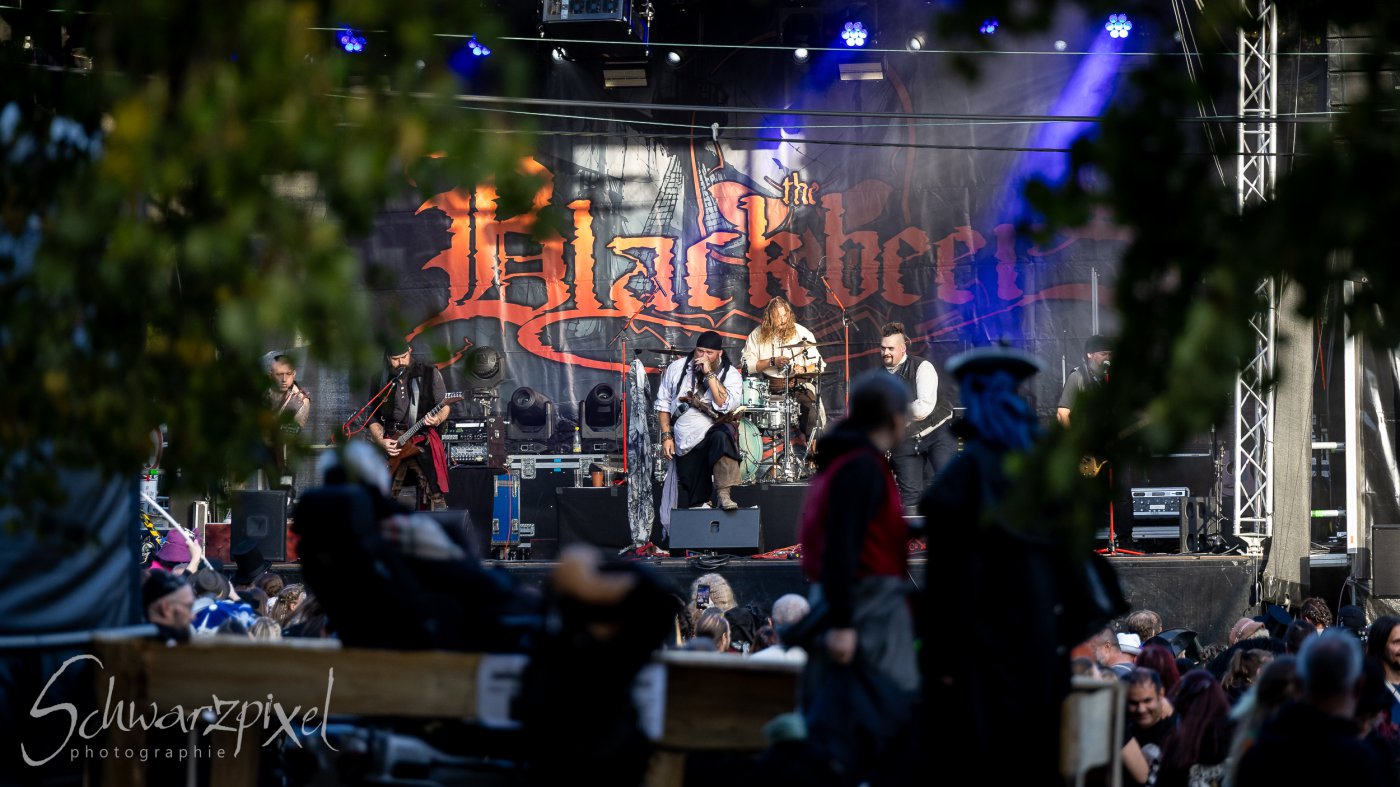 Festival Mediaval XVI