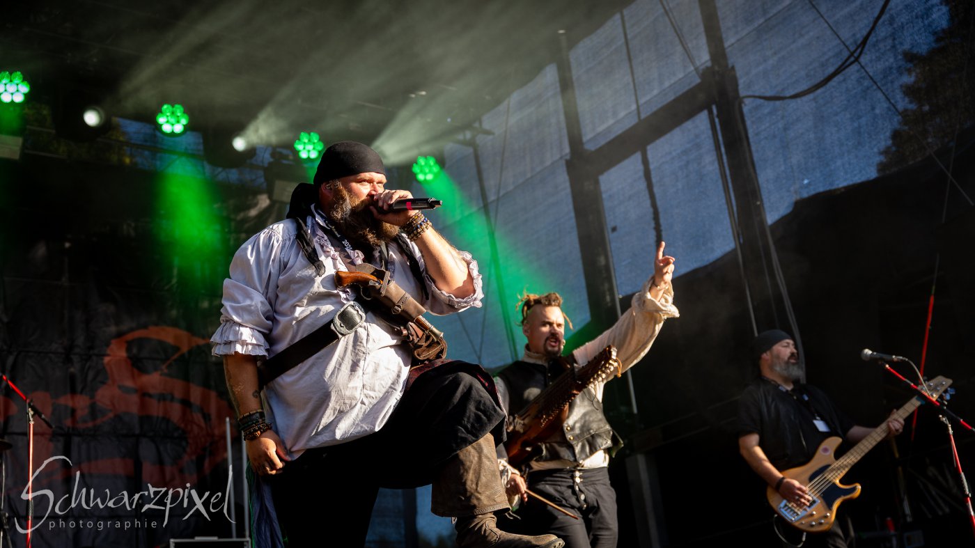Festival Mediaval XVI