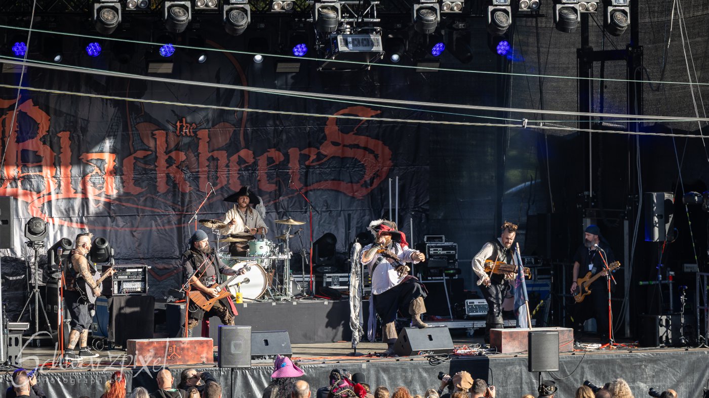 Festival Mediaval XVI