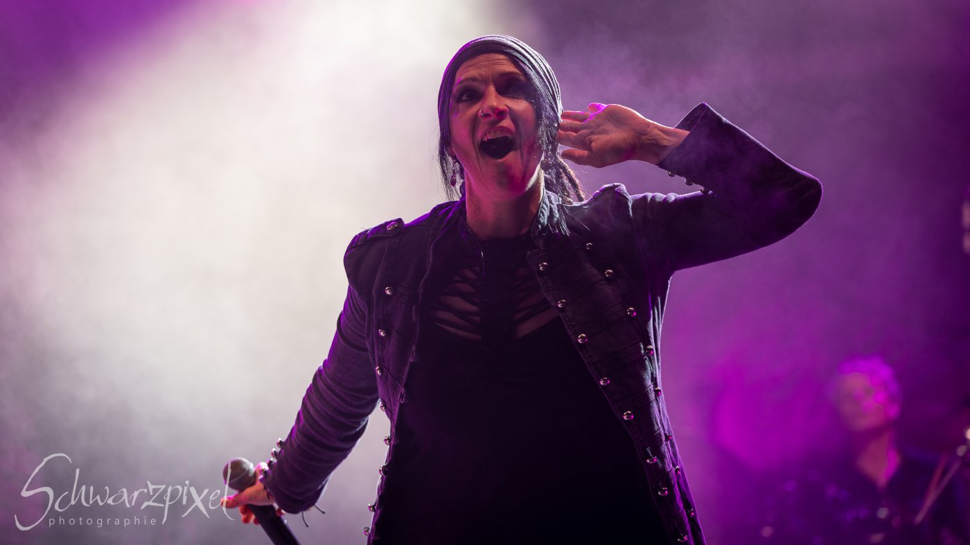 Festival Mediaval XVI
