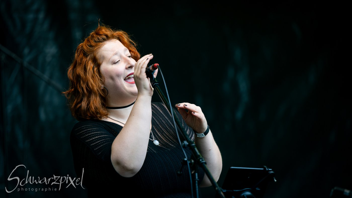Festival Mediaval XVI