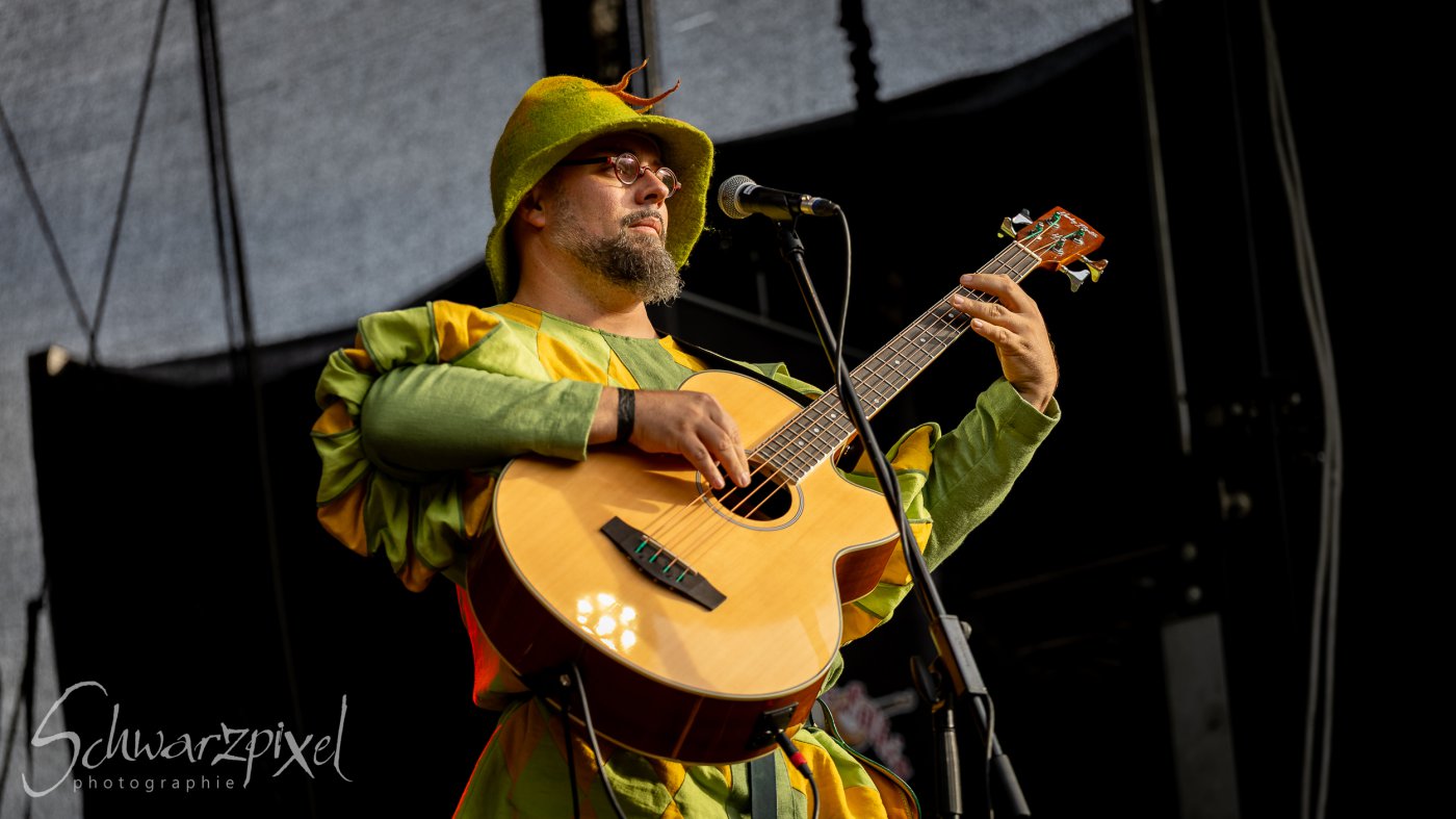 Festival Mediaval XVI