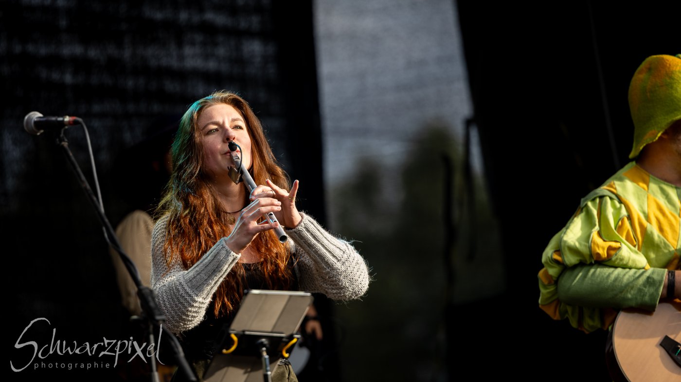 Festival Mediaval XVI
