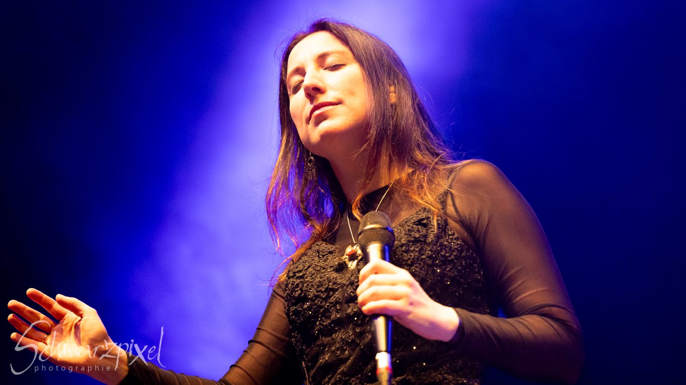 Festival Mediaval XVI