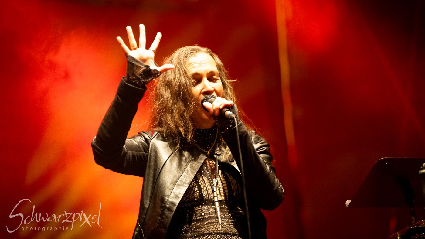 Festival Mediaval XVI