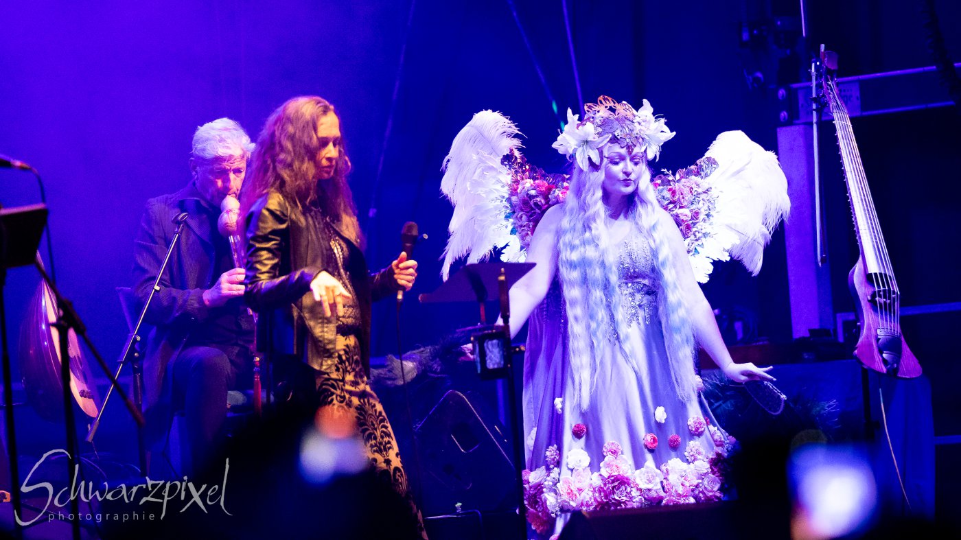 Festival Mediaval XVI