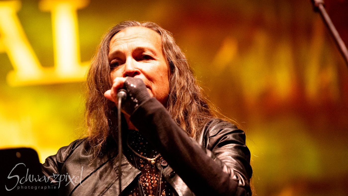 Festival Mediaval XVI