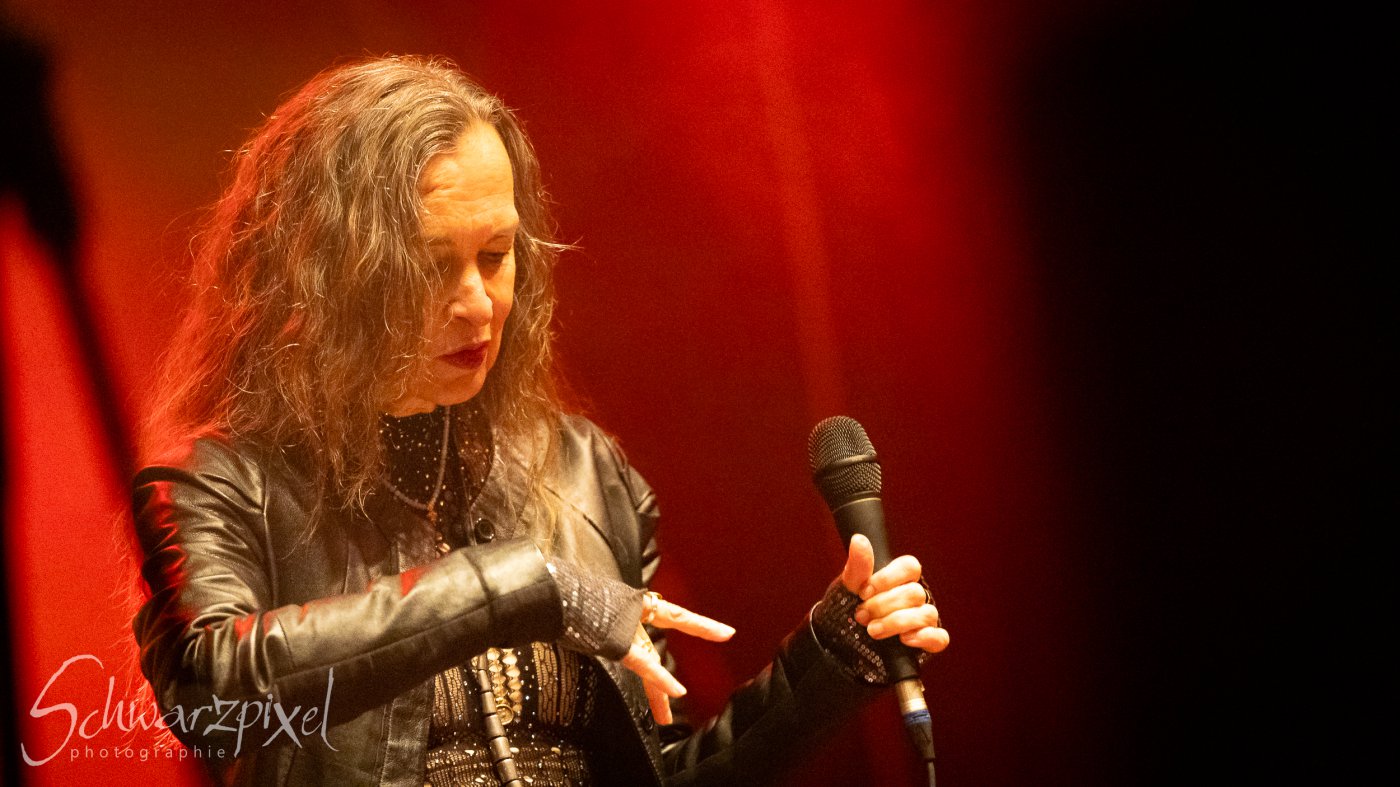 Festival Mediaval XVI