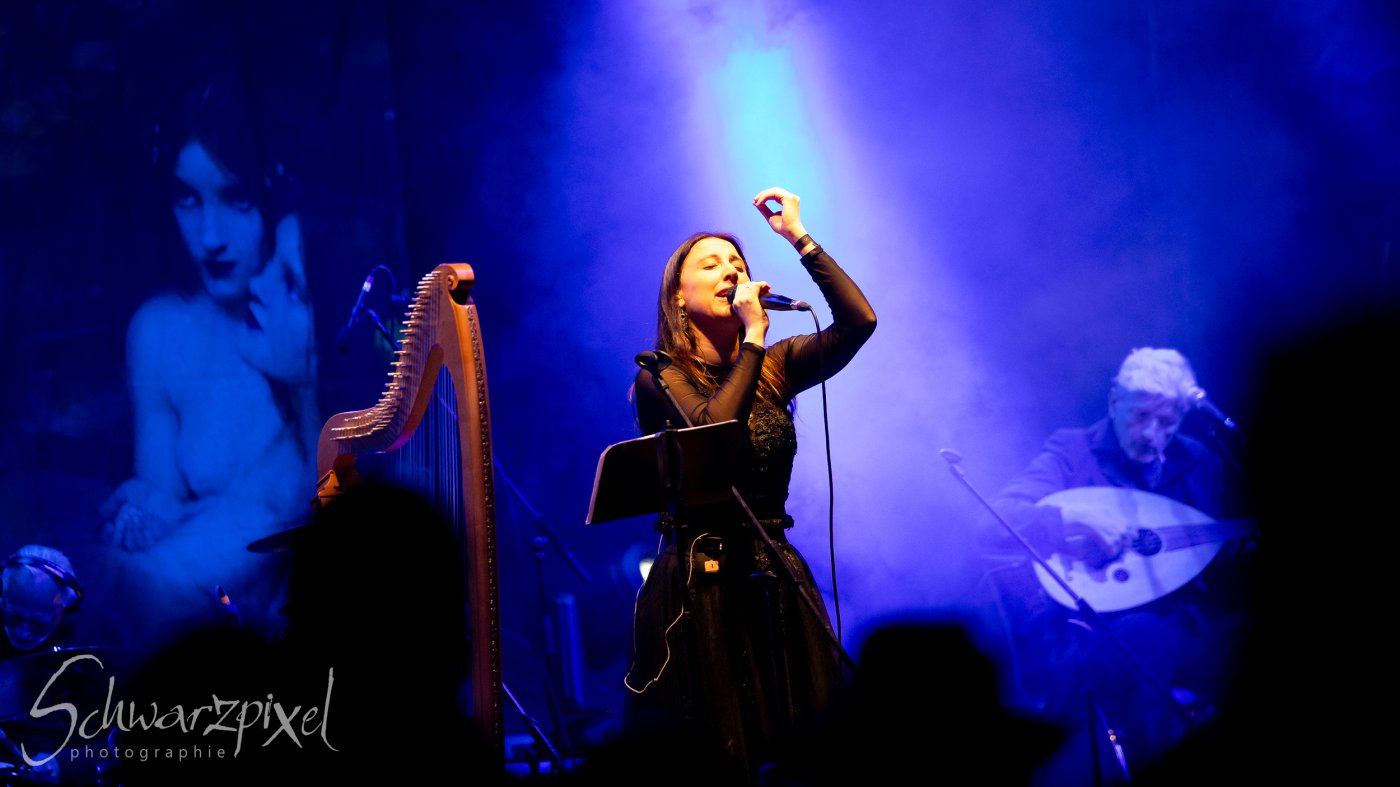 Festival Mediaval XVI