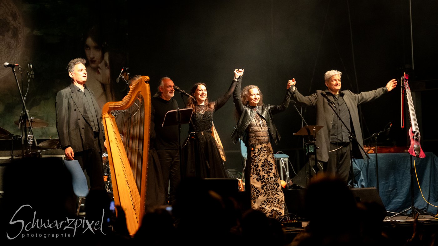 Festival Mediaval XVI