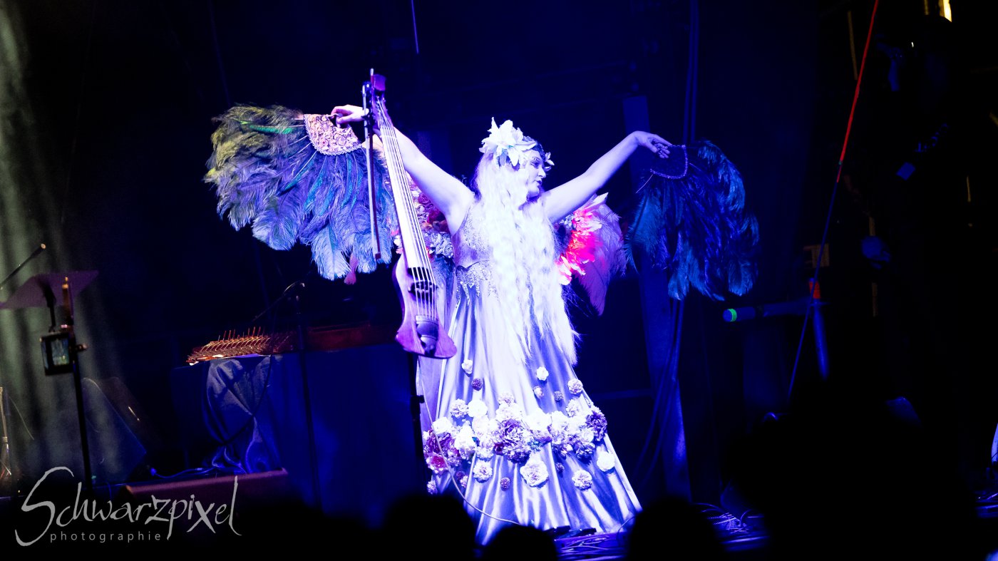 Festival Mediaval XVI