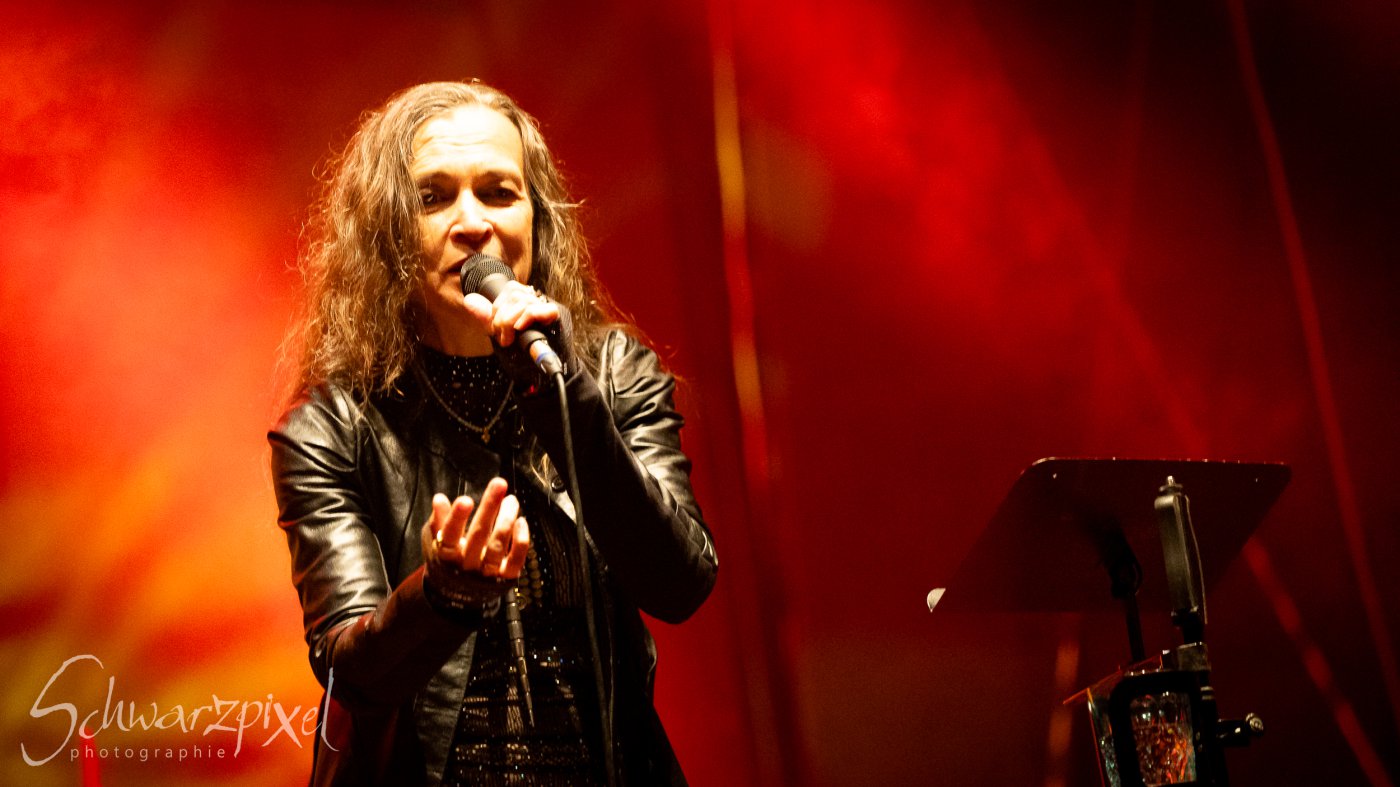 Festival Mediaval XVI
