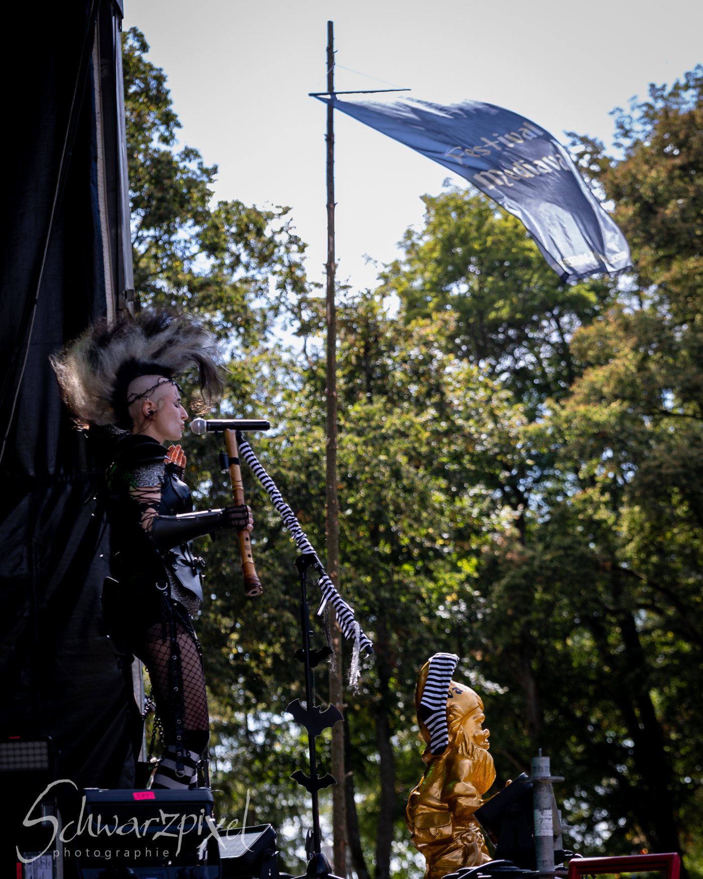 Festival Mediaval XVI