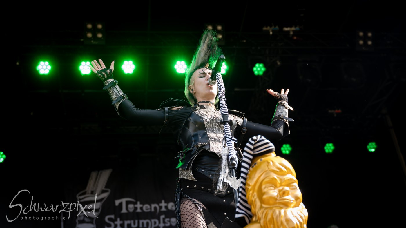 Festival Mediaval XVI