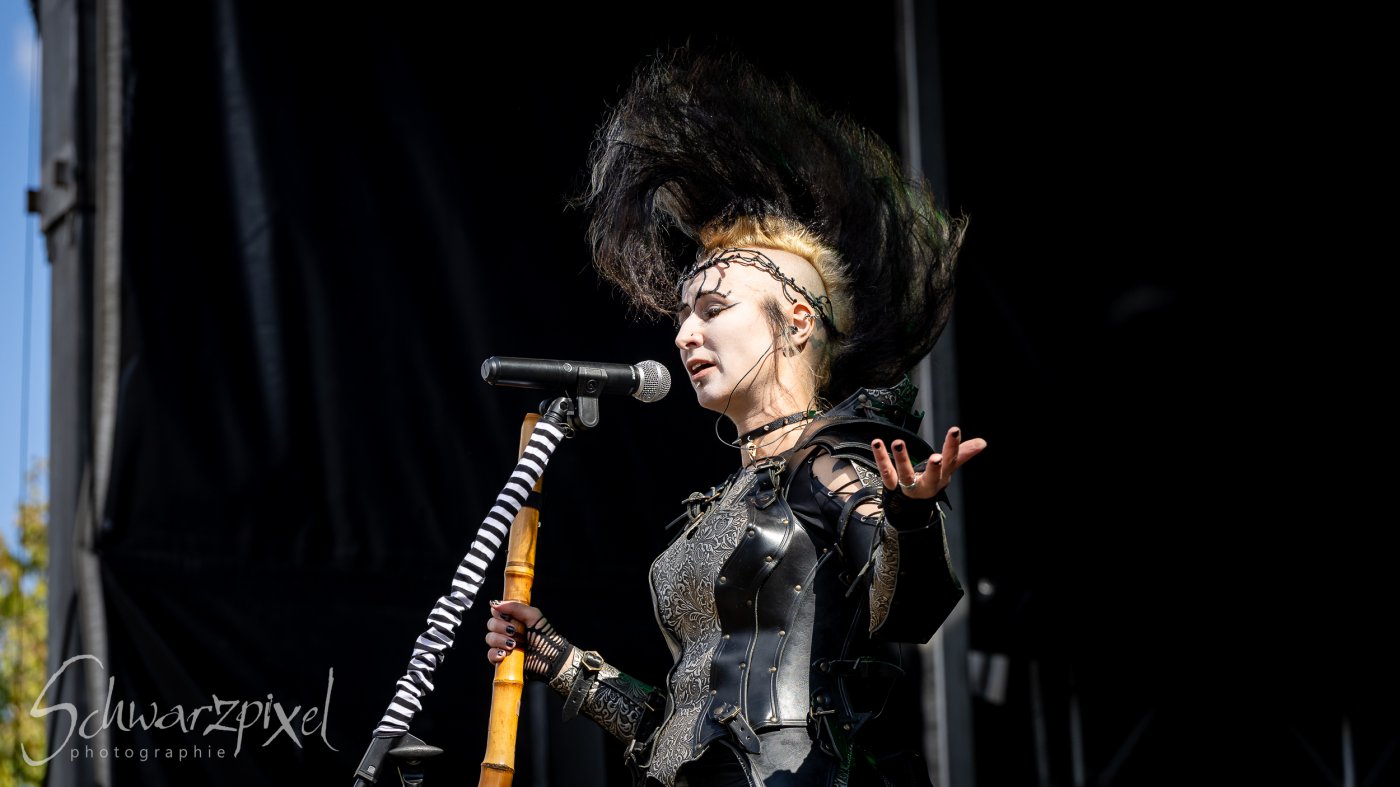 Festival Mediaval XVI