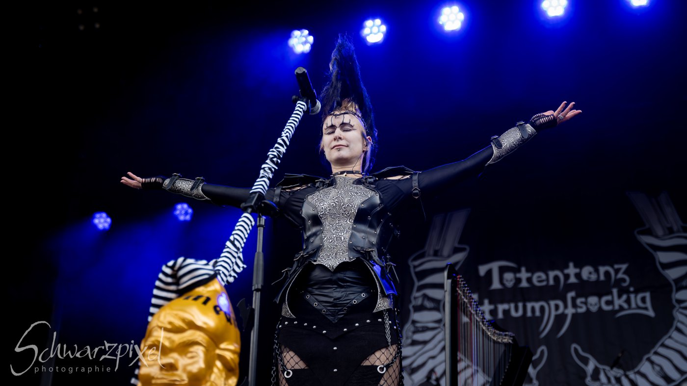 Festival Mediaval XVI