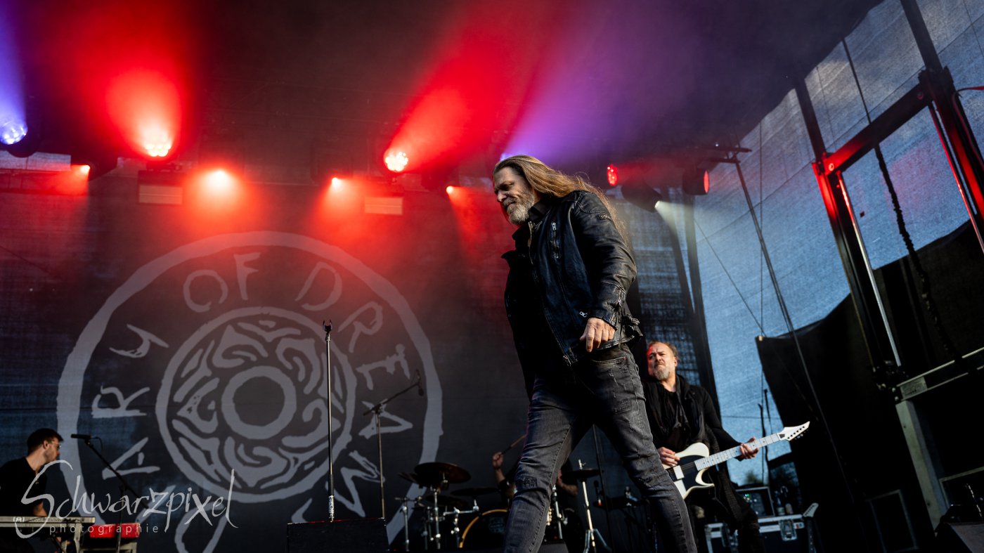 Festival Mediaval XVI