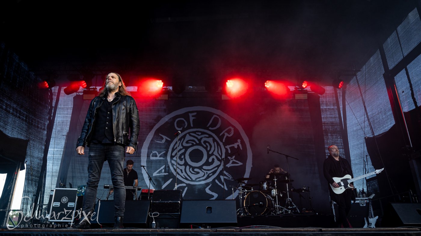 Festival Mediaval XVI