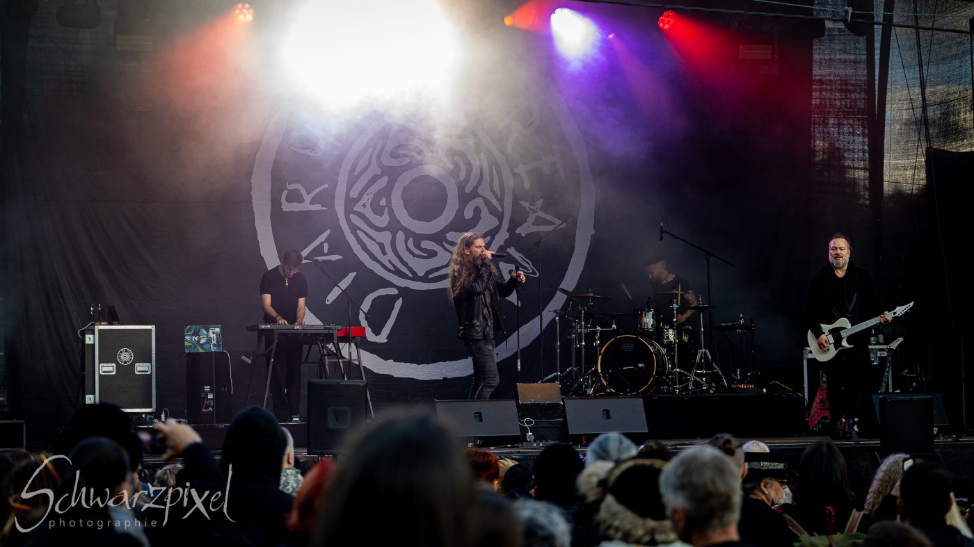 Festival Mediaval XVI