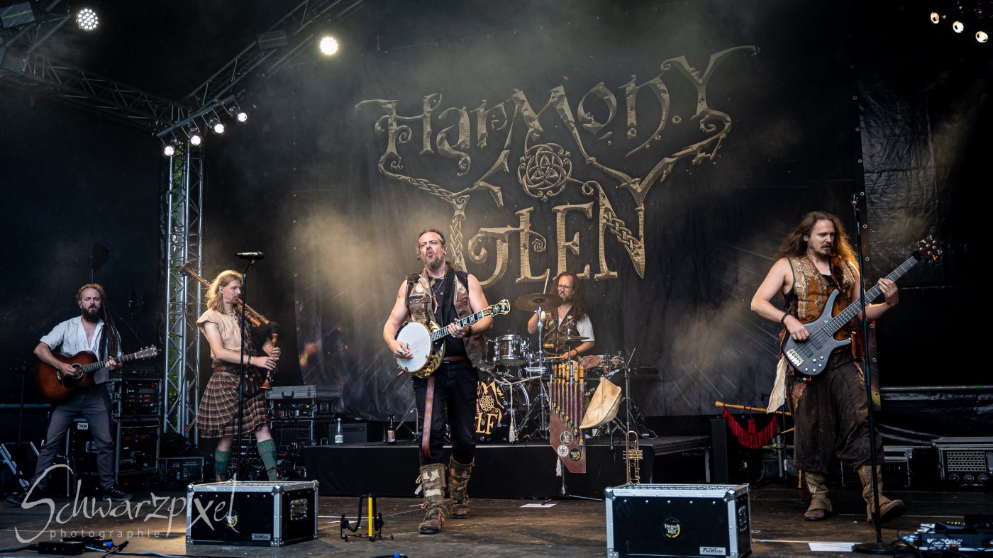 Festival Mediaval XVI