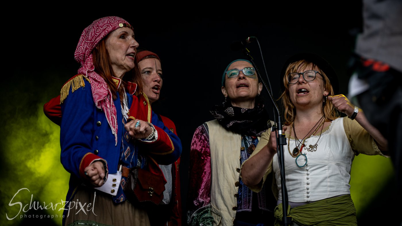 Festival Mediaval XVI
