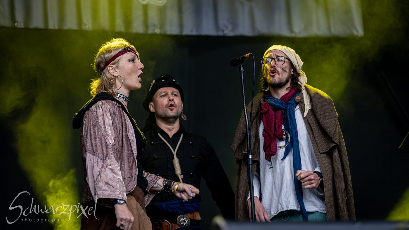Festival Mediaval XVI