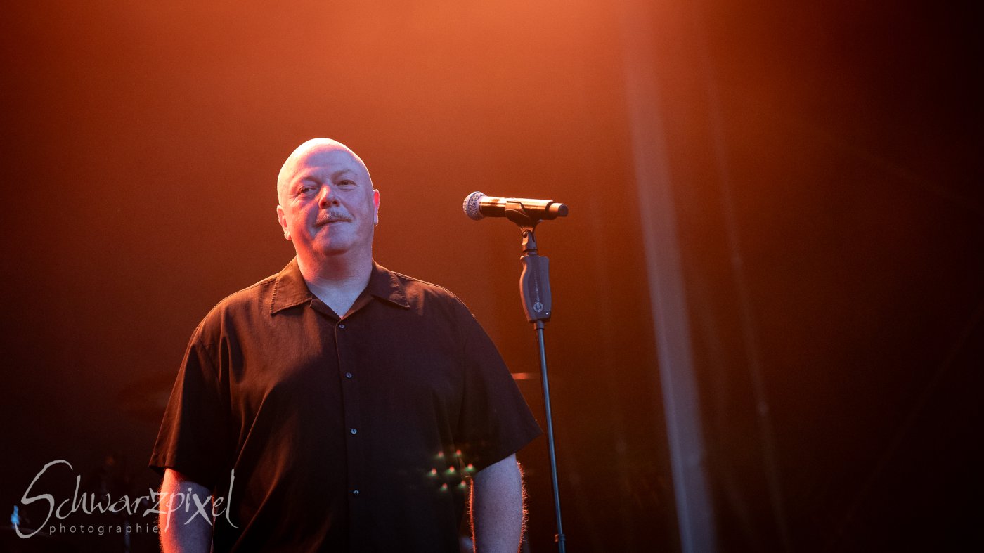 Festival Mediaval XVI