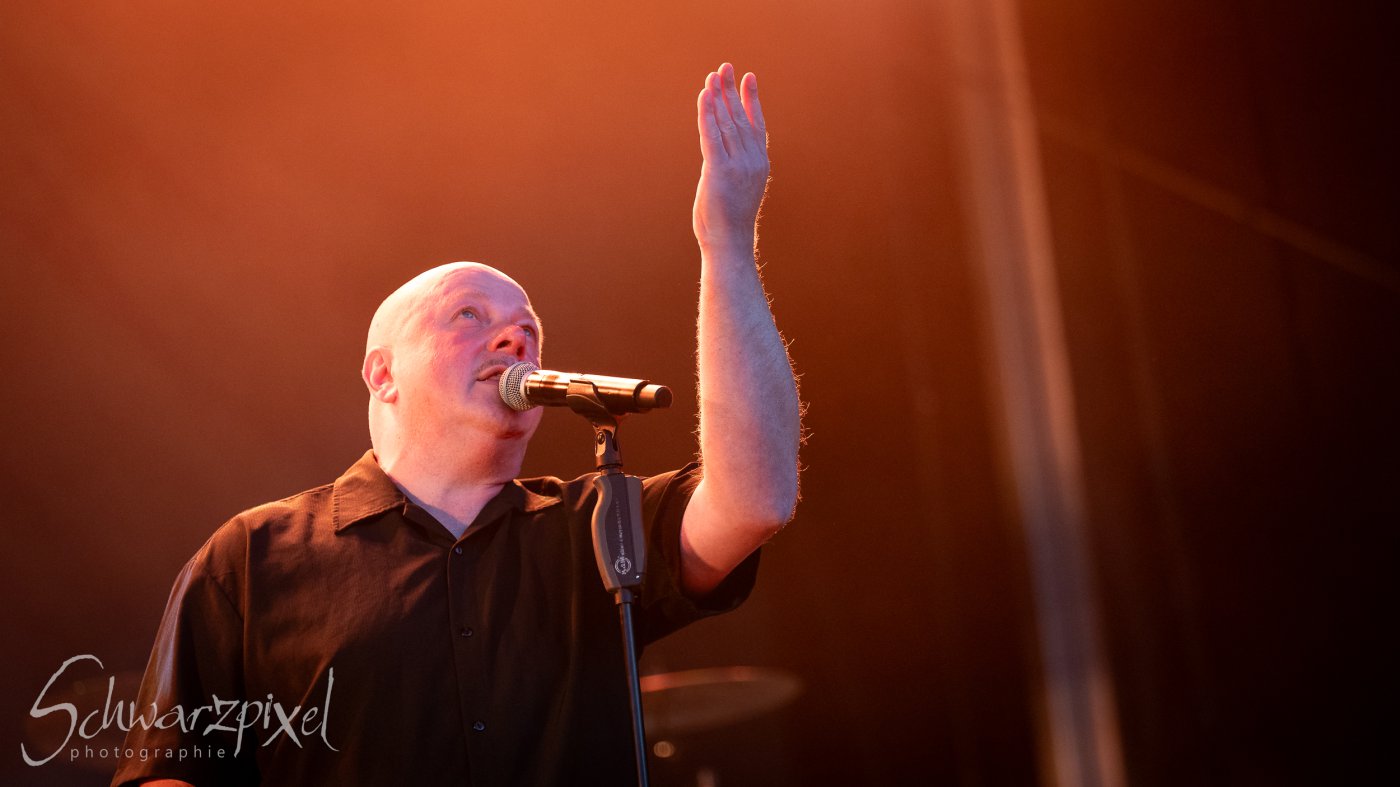 Festival Mediaval XVI
