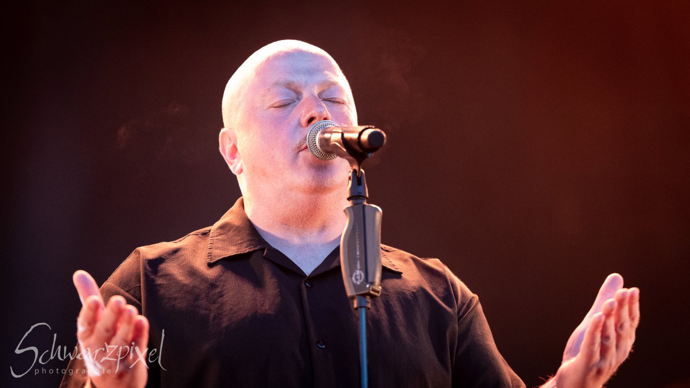Festival Mediaval XVI