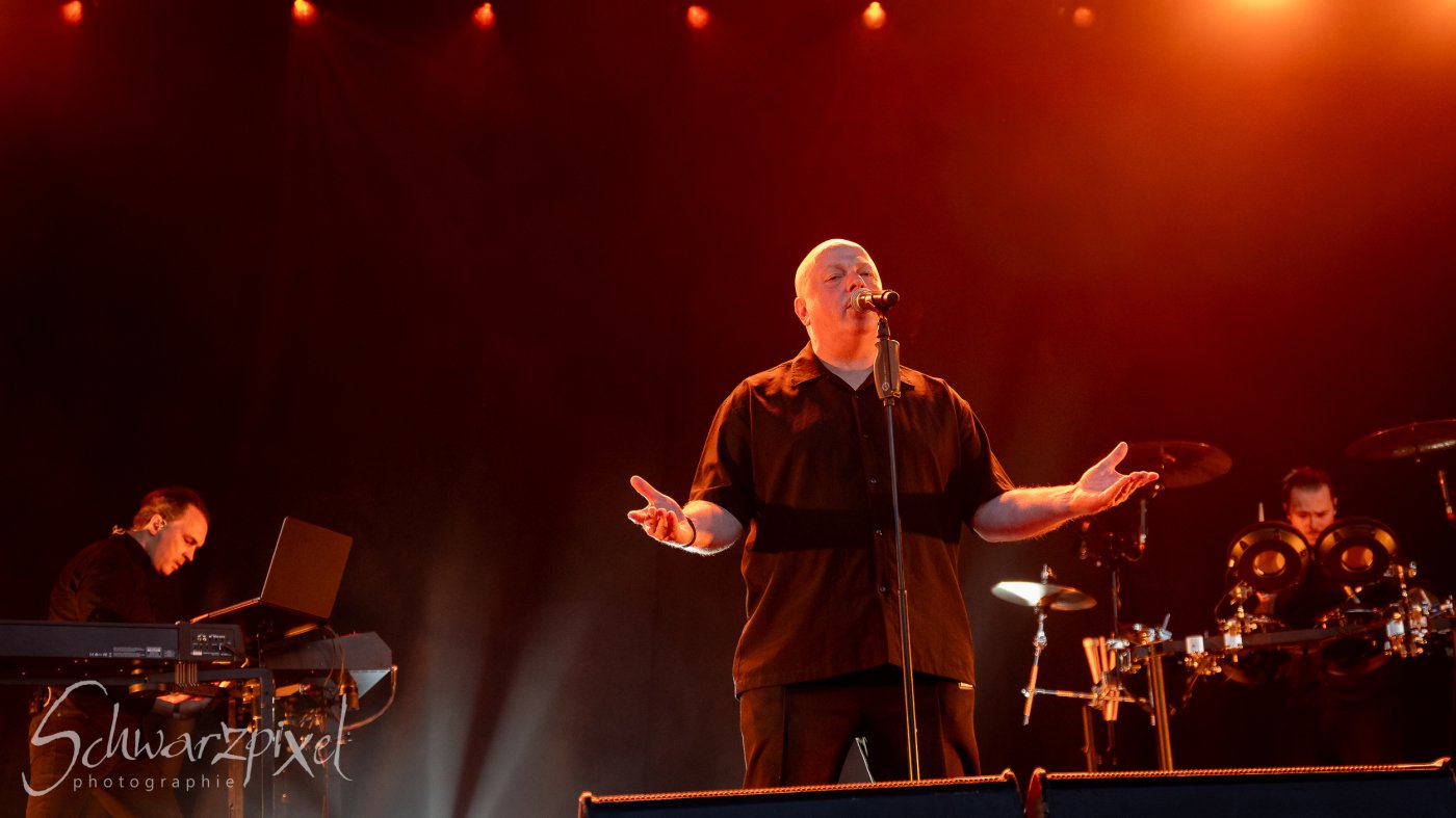 Festival Mediaval XVI
