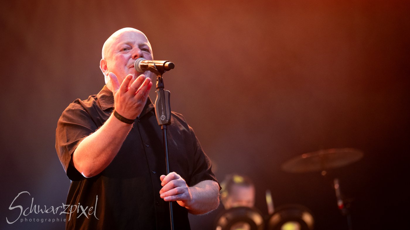 Festival Mediaval XVI