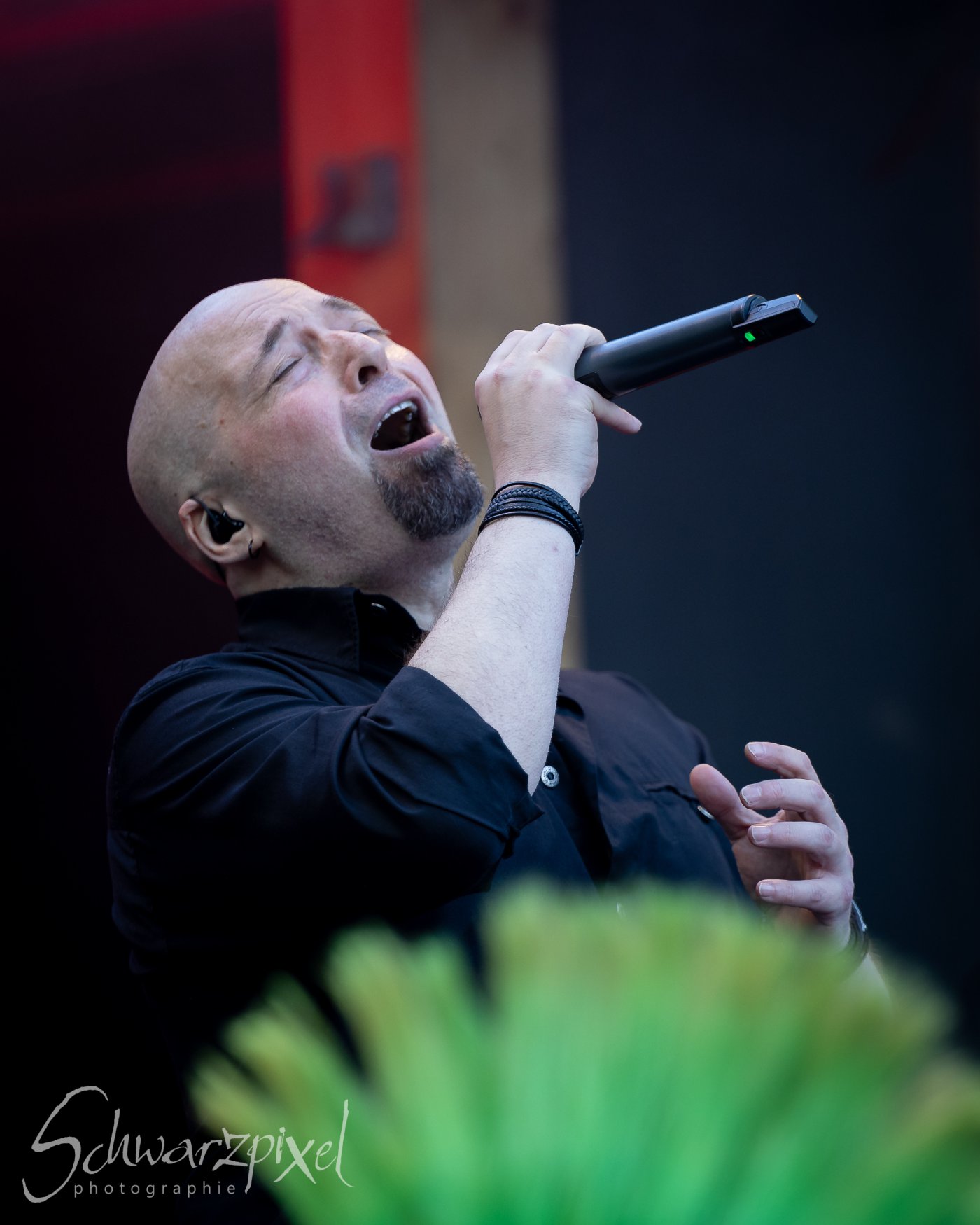 10 Jahre ALIENARE