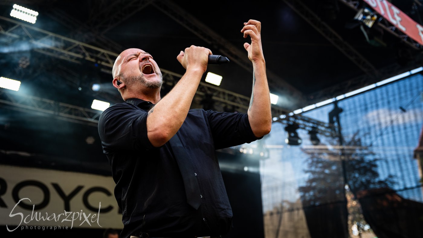 Black Lower Castle Festival 2024