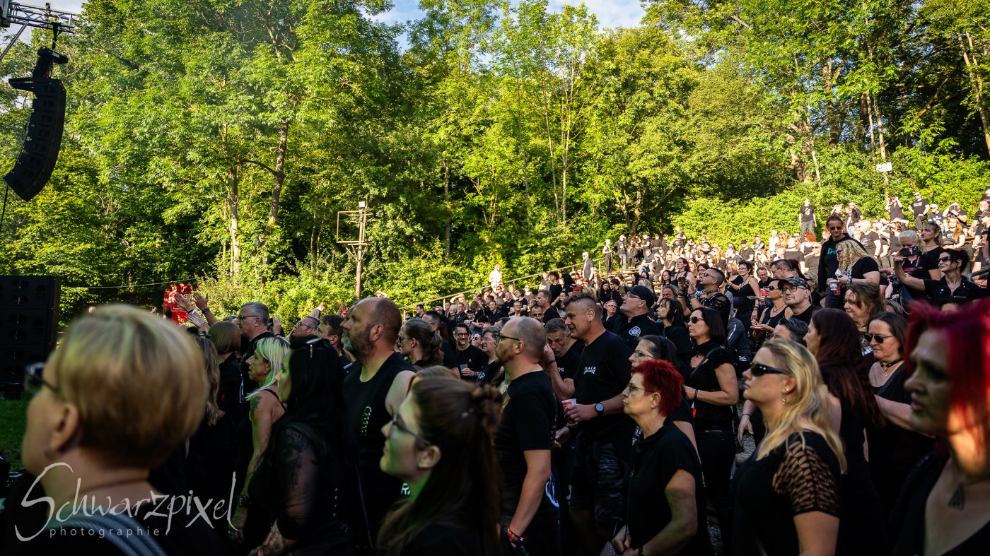 Black Lower Castle Festival 2024