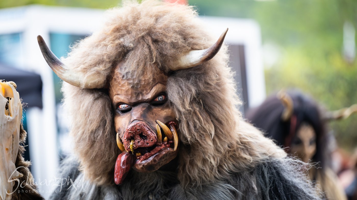 Black Lower Castle Festival 2024